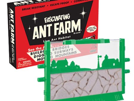 Ant Farm For Sale