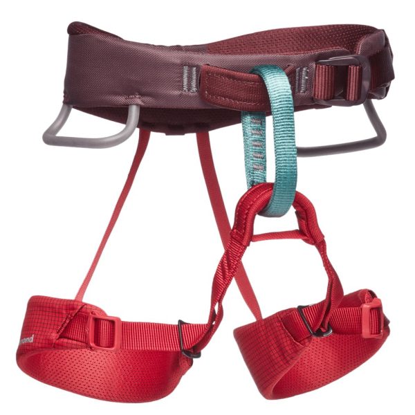 Kids Momentum Harness Cheap