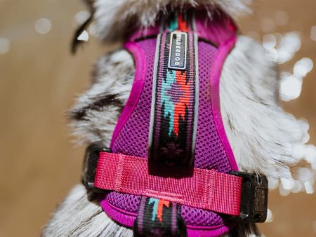 Wilderdog Harness For Cheap