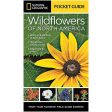 Pocket Guide to Wildflowers of N America Online Sale