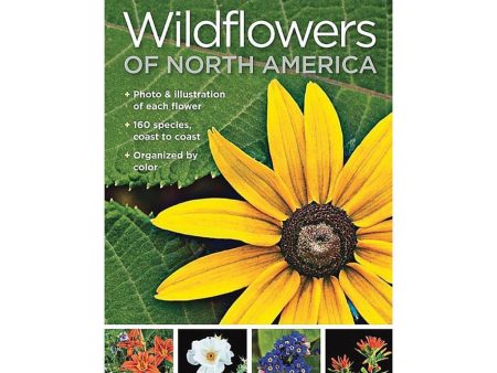 Pocket Guide to Wildflowers of N America Online Sale