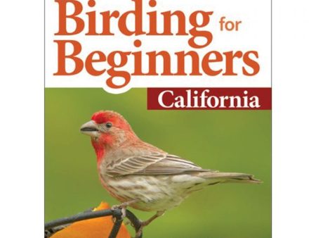 Birding for Beginners: California For Discount