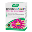 A.Vogel Echinaforce Junior 90 Chew Tabs Cheap