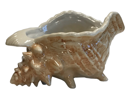 CONCH SHELL BOWL (WHOLESALE CASE OF 6) Supply