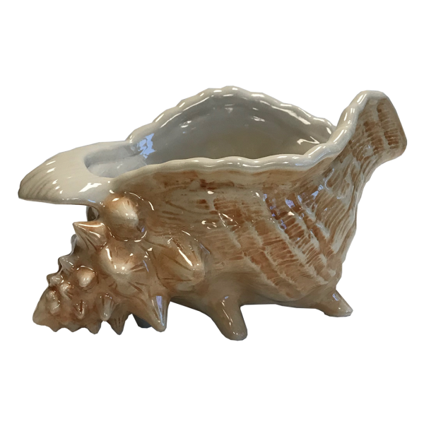 CONCH SHELL BOWL (WHOLESALE CASE OF 6) Supply