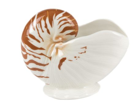 NAUTILUS SHELL MUG Hot on Sale