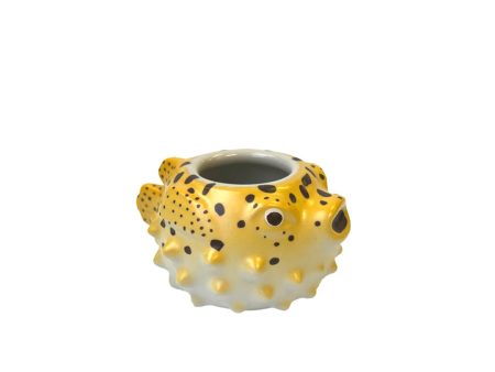 MINI BLOWFISH Online Sale