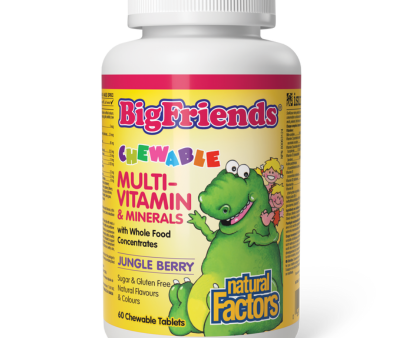 Natural Factors Big Friends Chewable Multivitamin & Minerals Jungle Berry 60 Chew Tablets Supply